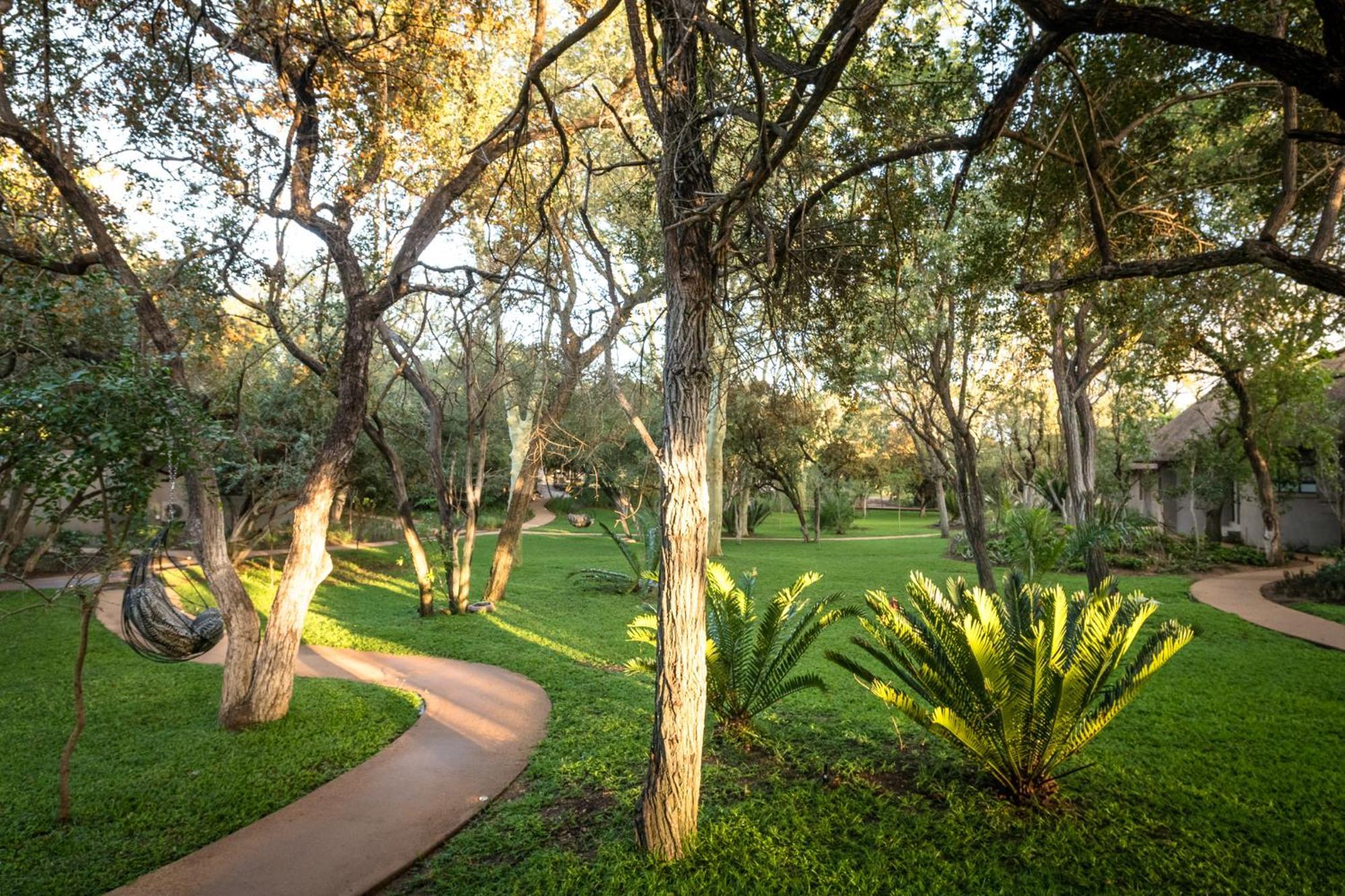 Serondella Safari Lodge Rezervația naturală și safari Thornybush Exterior foto