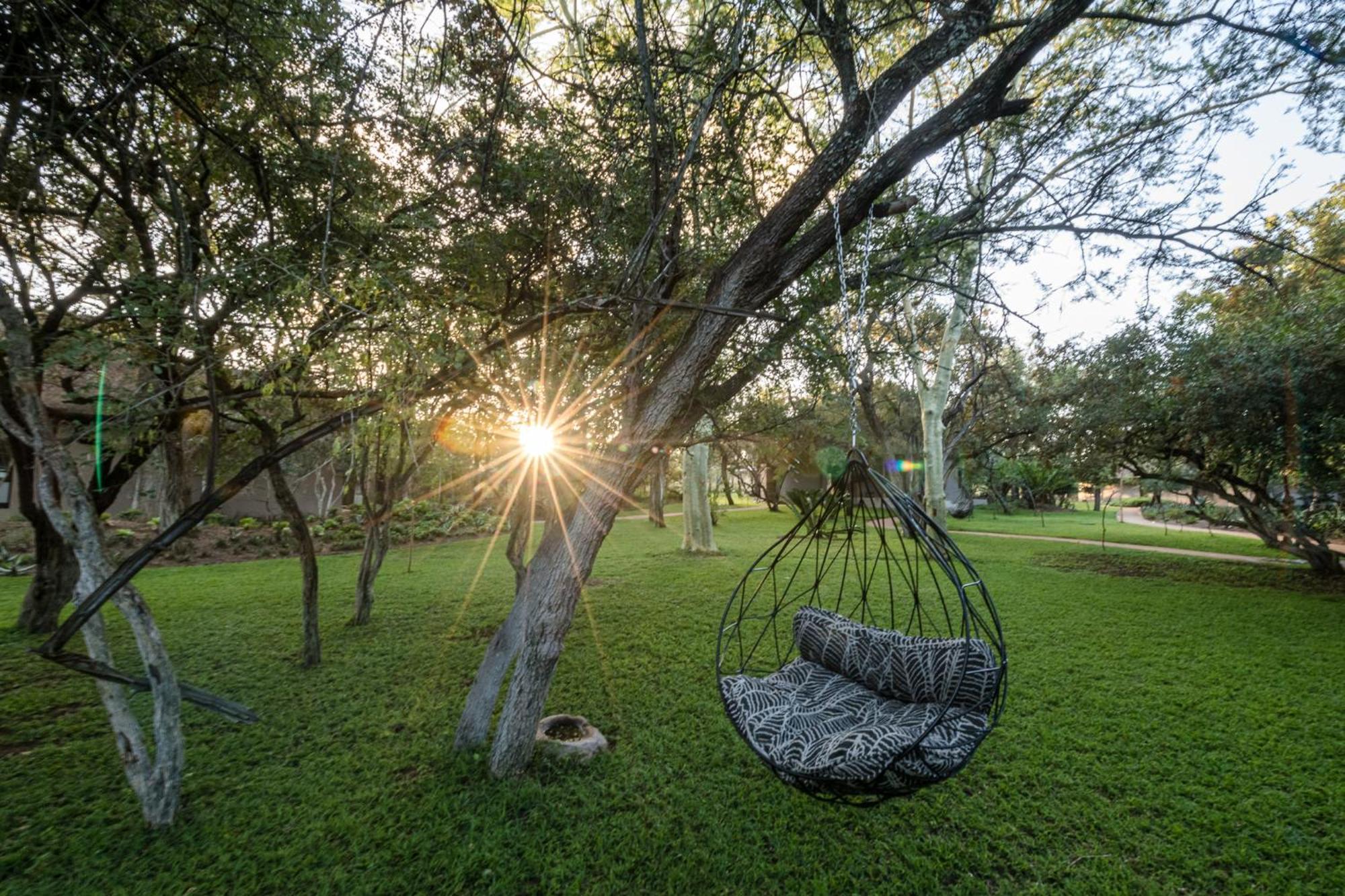 Serondella Safari Lodge Rezervația naturală și safari Thornybush Exterior foto