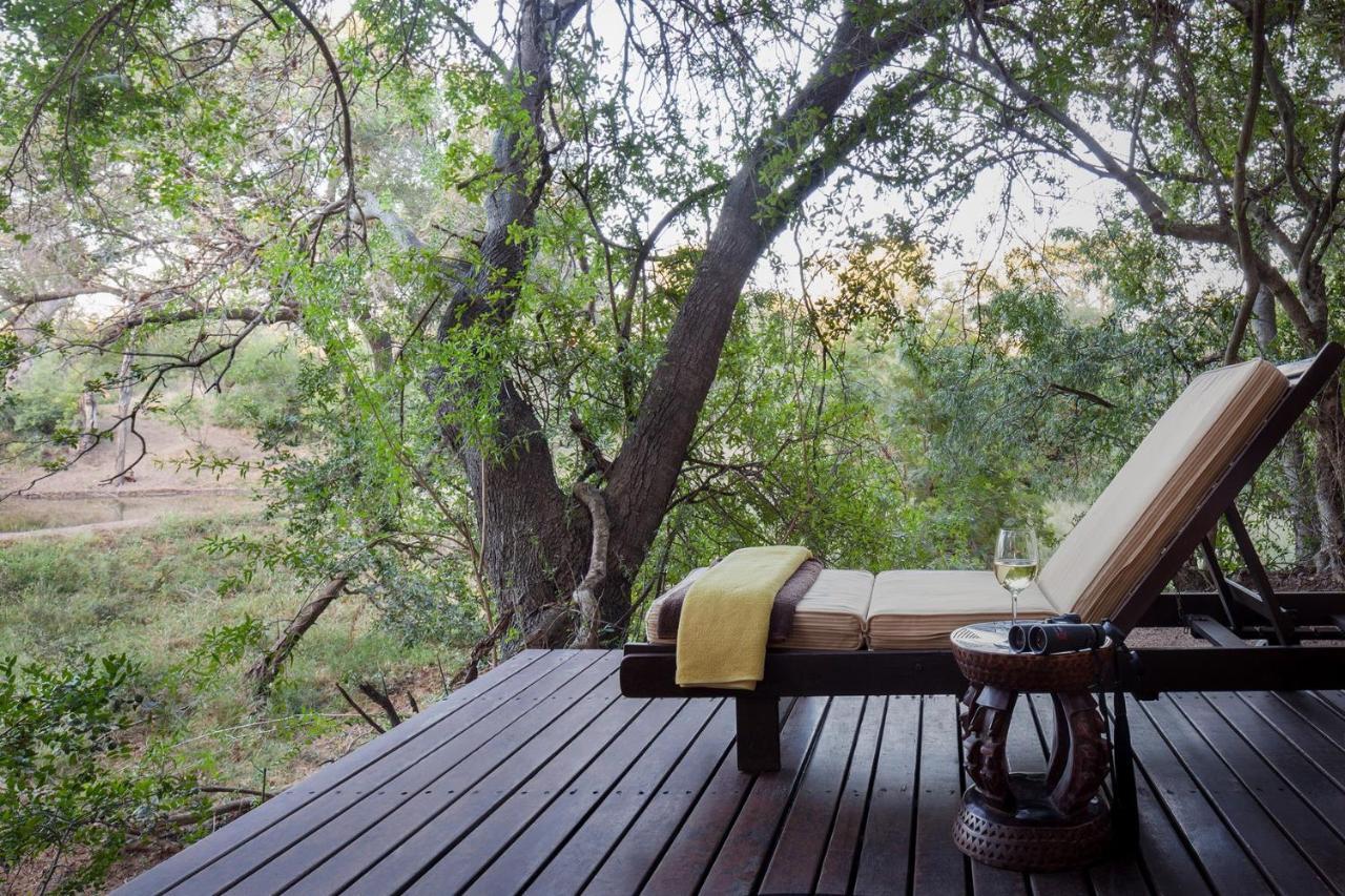Serondella Safari Lodge Rezervația naturală și safari Thornybush Exterior foto