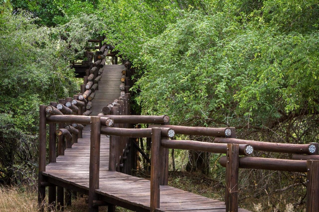Serondella Safari Lodge Rezervația naturală și safari Thornybush Exterior foto